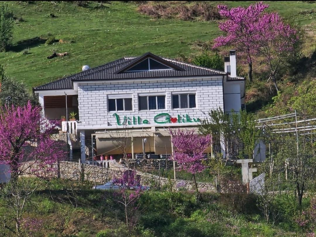 Villa Goliku Pestani Zewnętrze zdjęcie